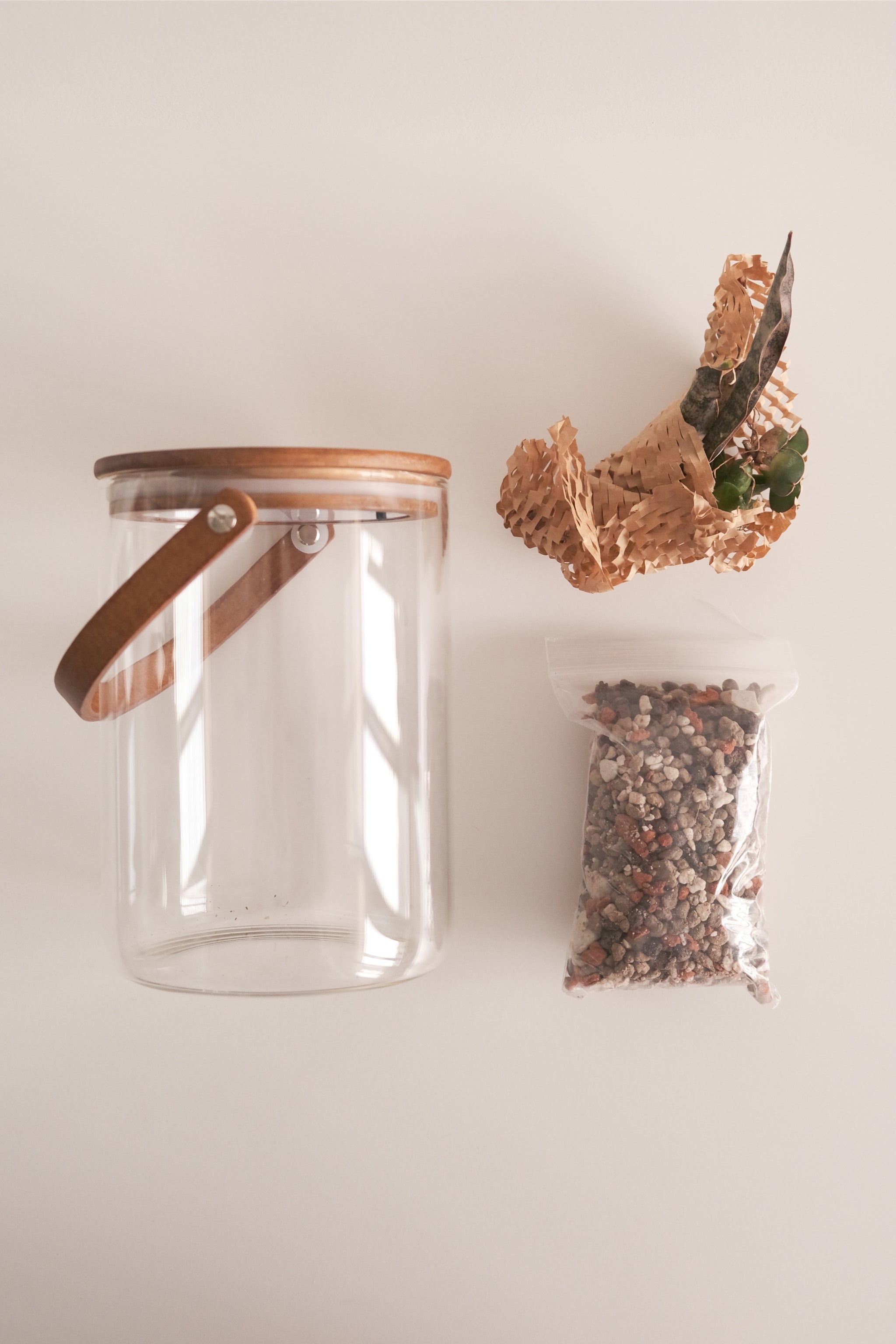 Kessho Glass Jar with Littlebotany Kit