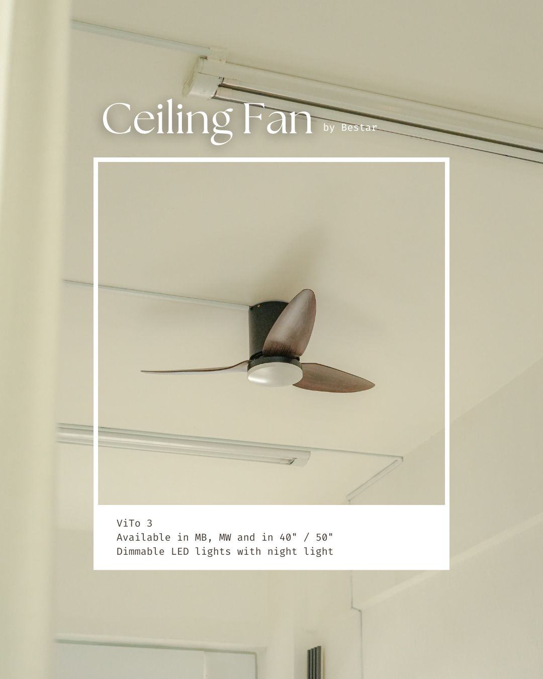 Ceiling Fan