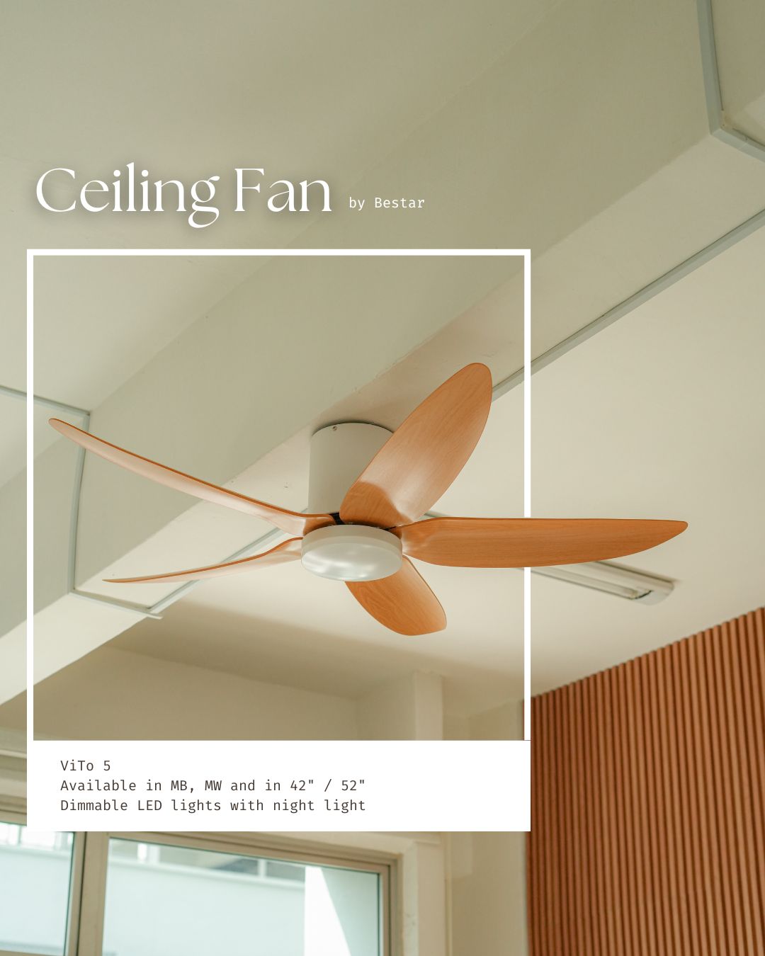 Ceiling Fan
